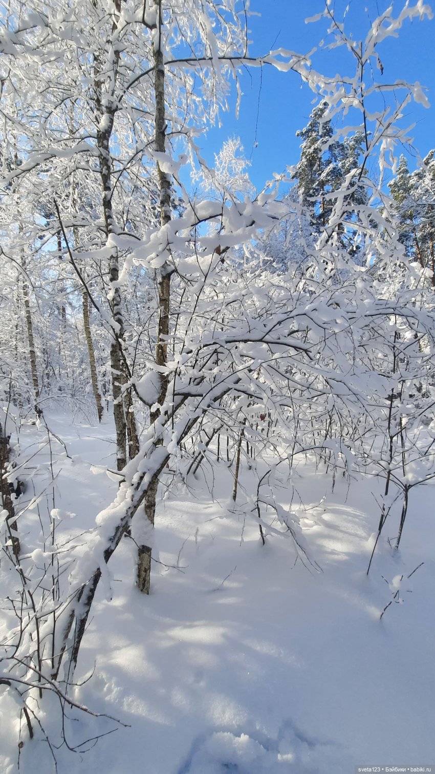 Розовый снег — Куклы Gotz (Готц): Ханна (фото 10)