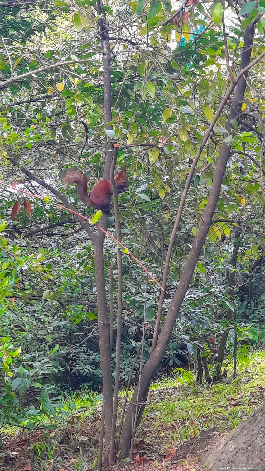 Марианна на море в Сочи 🐬🐳🐟