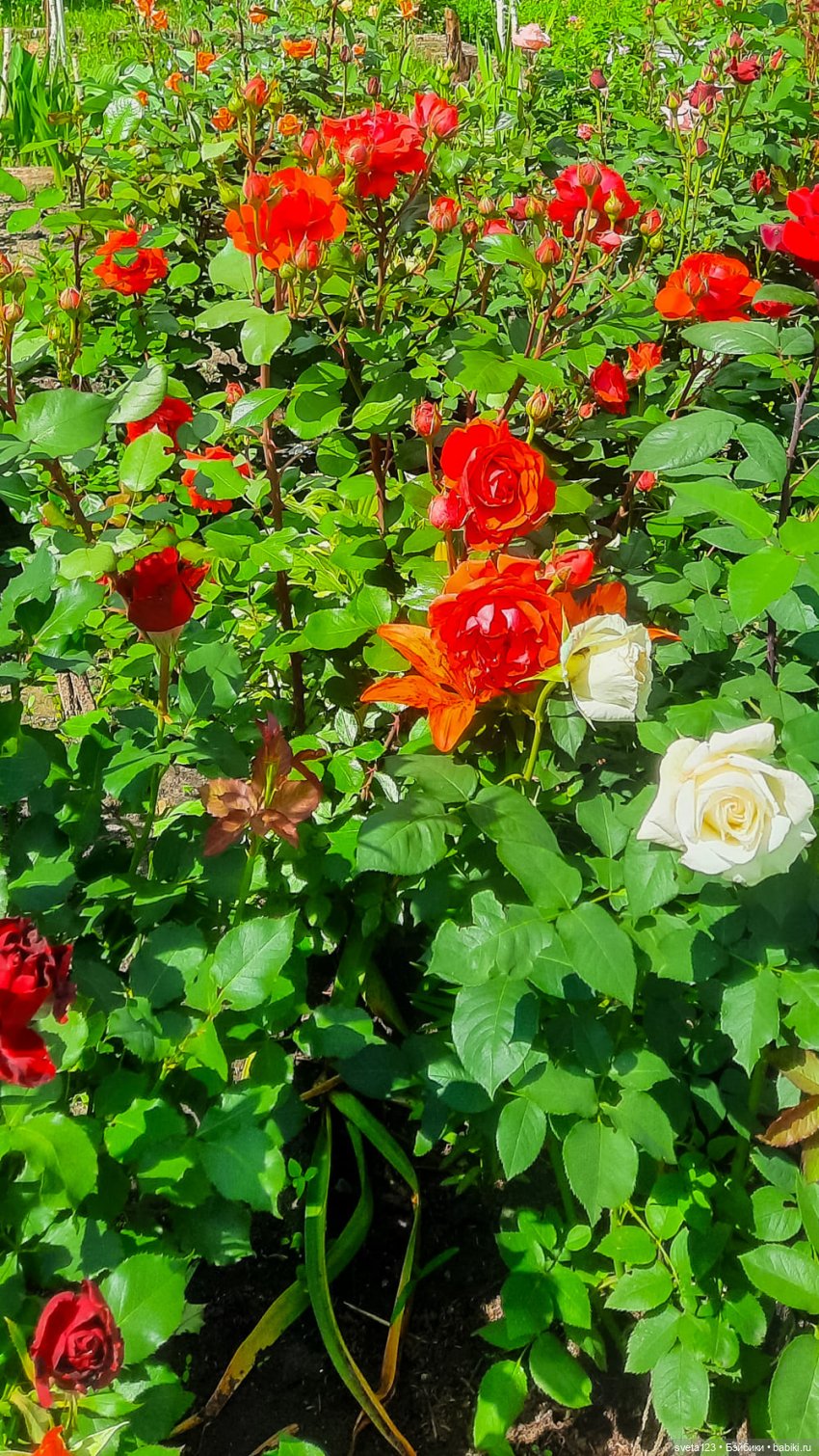 Знакомство с маленькой Пиппой 🌺🌷🌺