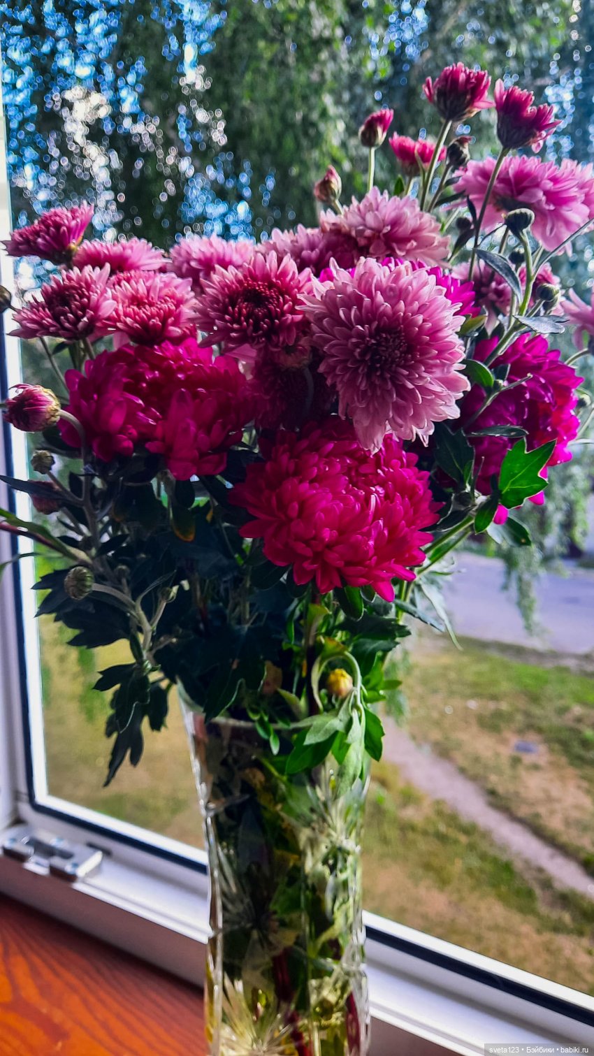Моя новая девочка 🌺🦋🌺 — Куклы Gotz