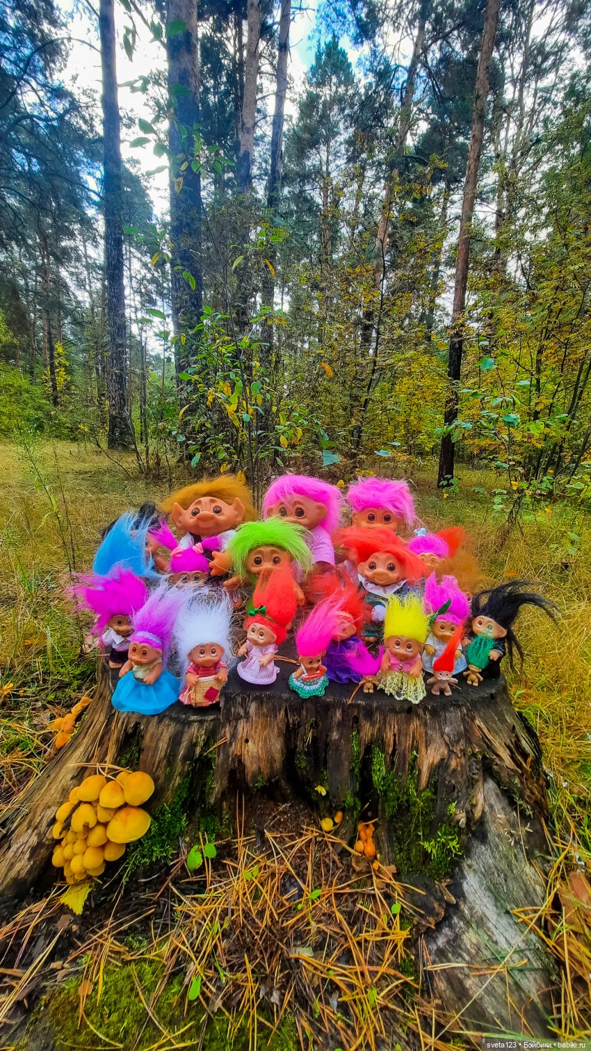 Тролли из волшебного леса 🍁🍂🍄🦋🍁