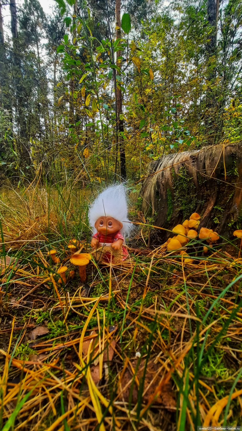 Тролли из волшебного леса 🍁🍂🍄🦋🍁