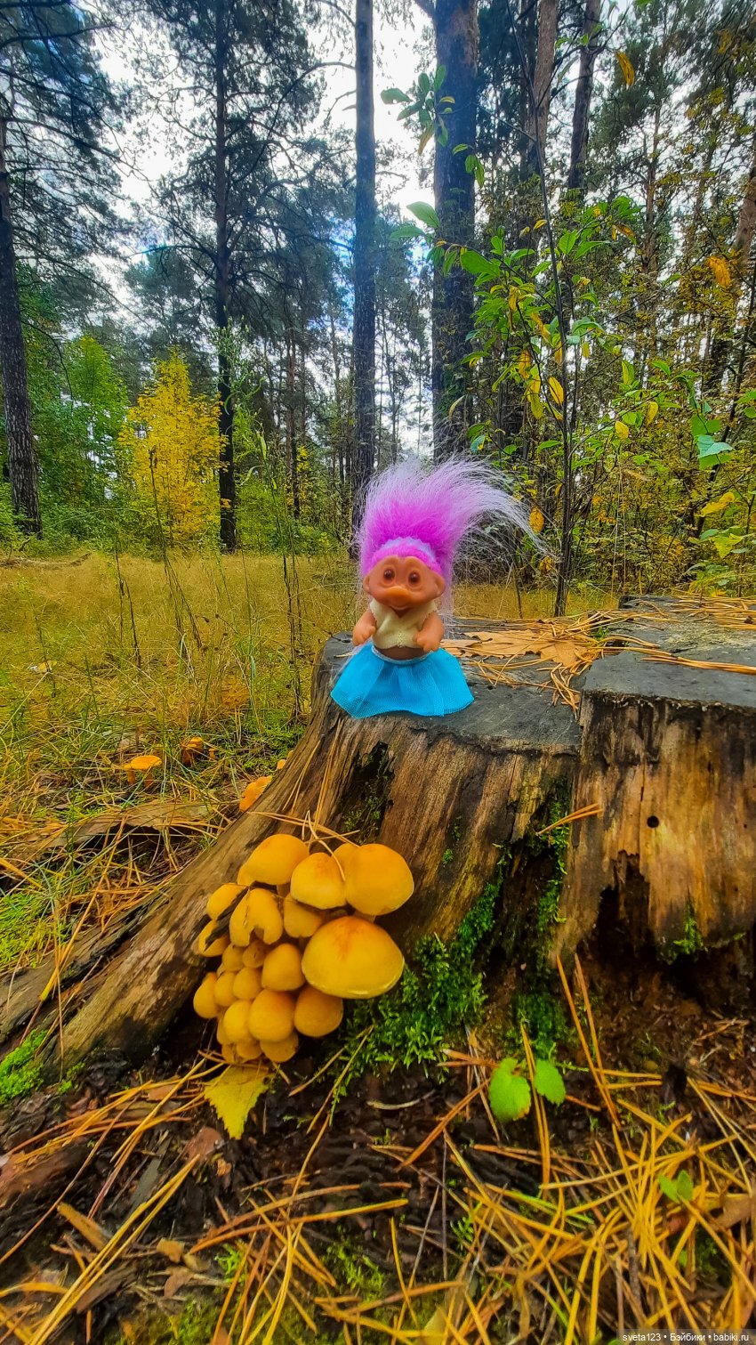 Тролли из волшебного леса 🍁🍂🍄🦋🍁