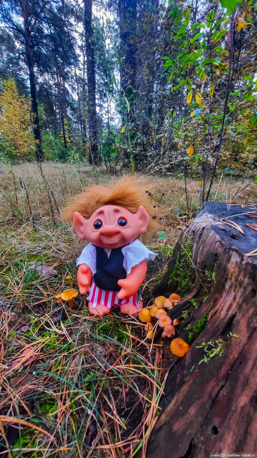 Тролли из волшебного леса 🍁🍂🍄🦋🍁