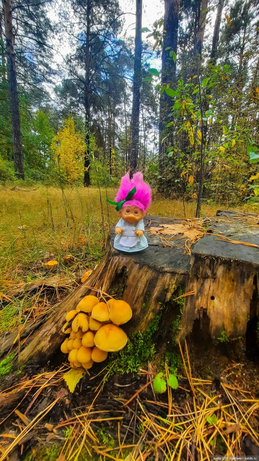 Тролли из волшебного леса 🍁🍂🍄🦋🍁