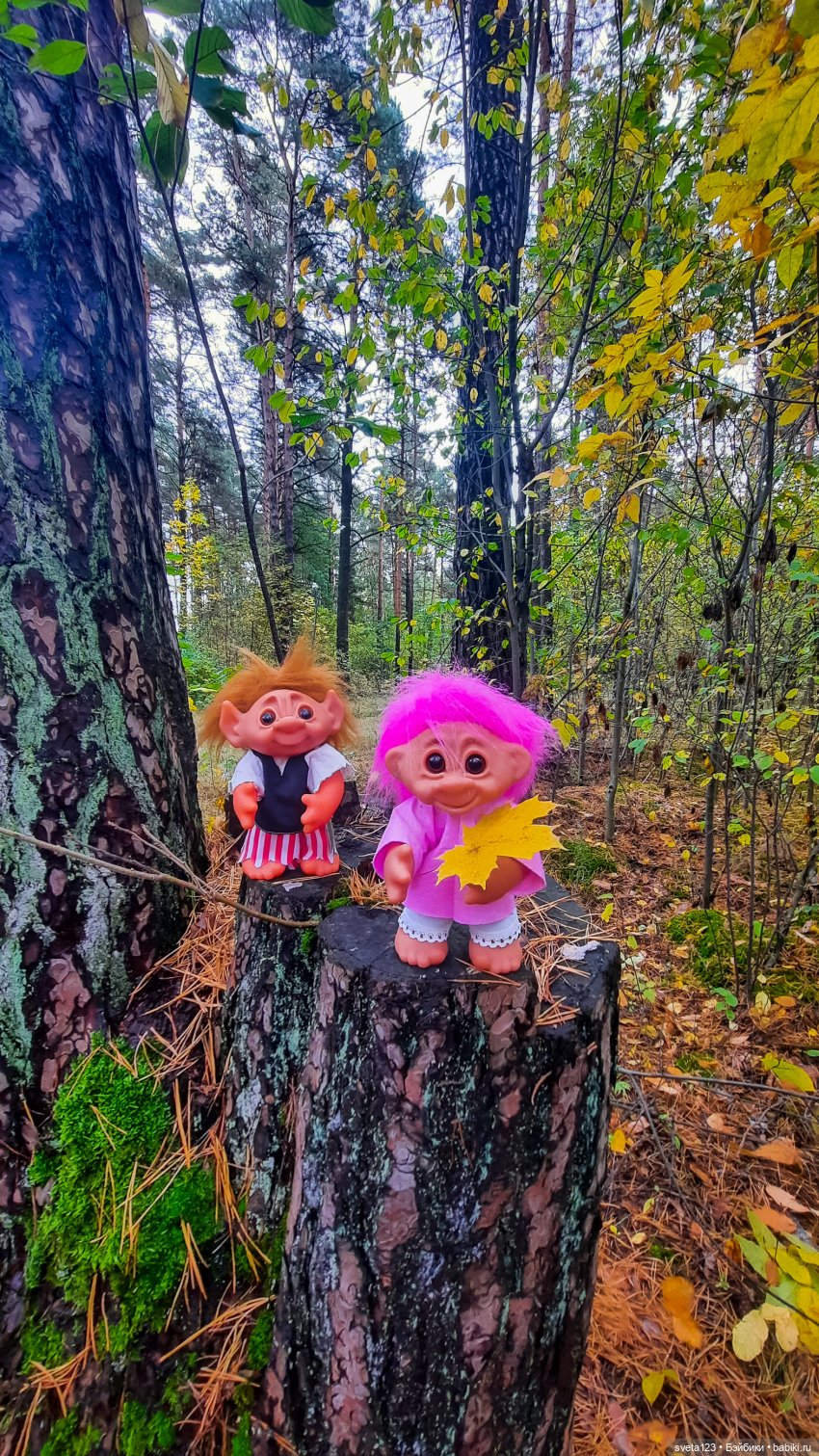 Тролли из волшебного леса 🍁🍂🍄🦋🍁