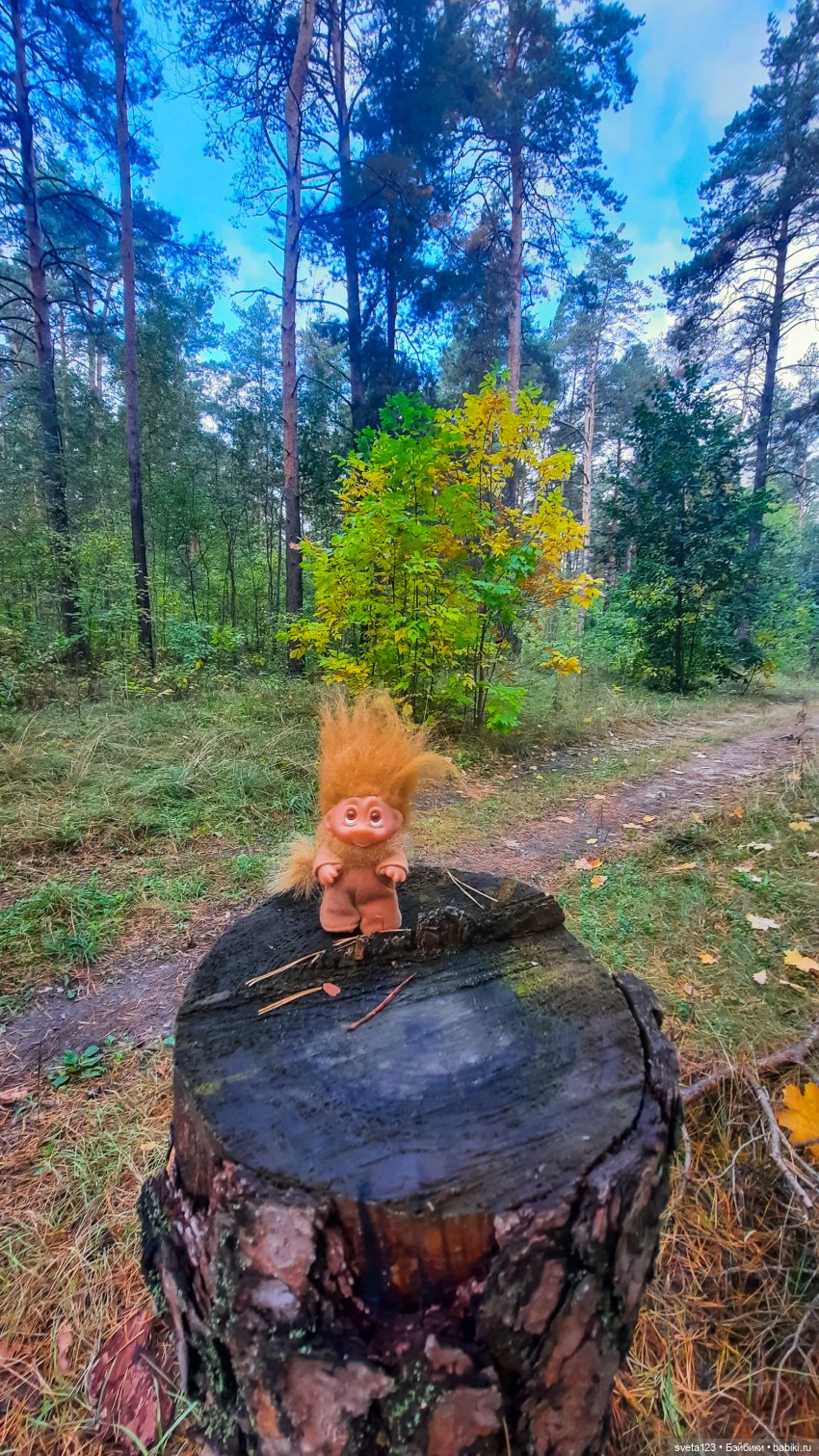 Тролли из волшебного леса 🍁🍂🍄🦋🍁