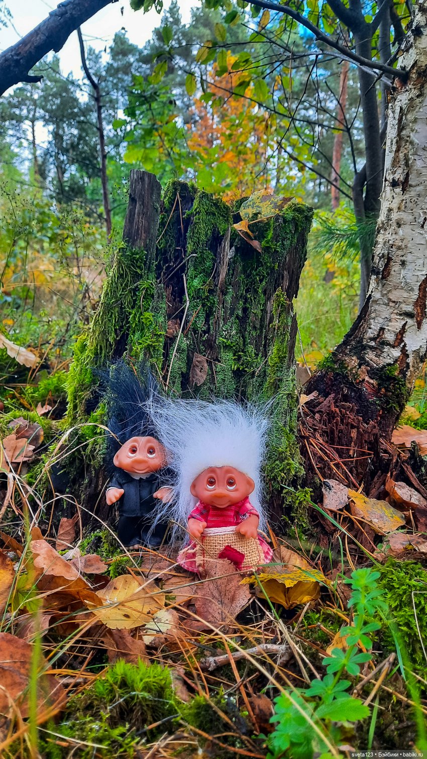 Тролли из волшебного леса 🍁🍂🍄🦋🍁
