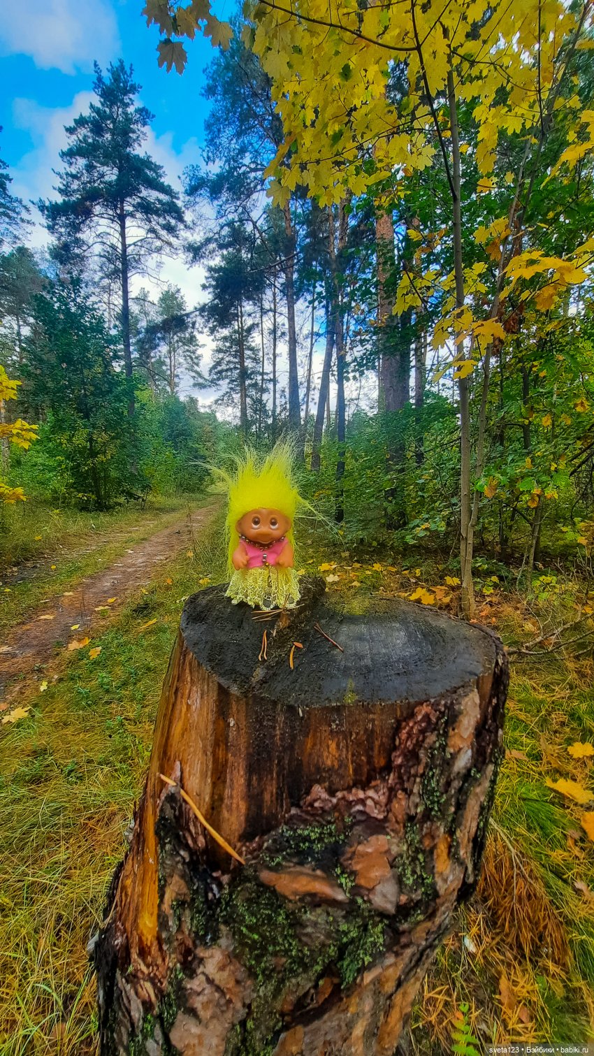Тролли из волшебного леса 🍁🍂🍄🦋🍁