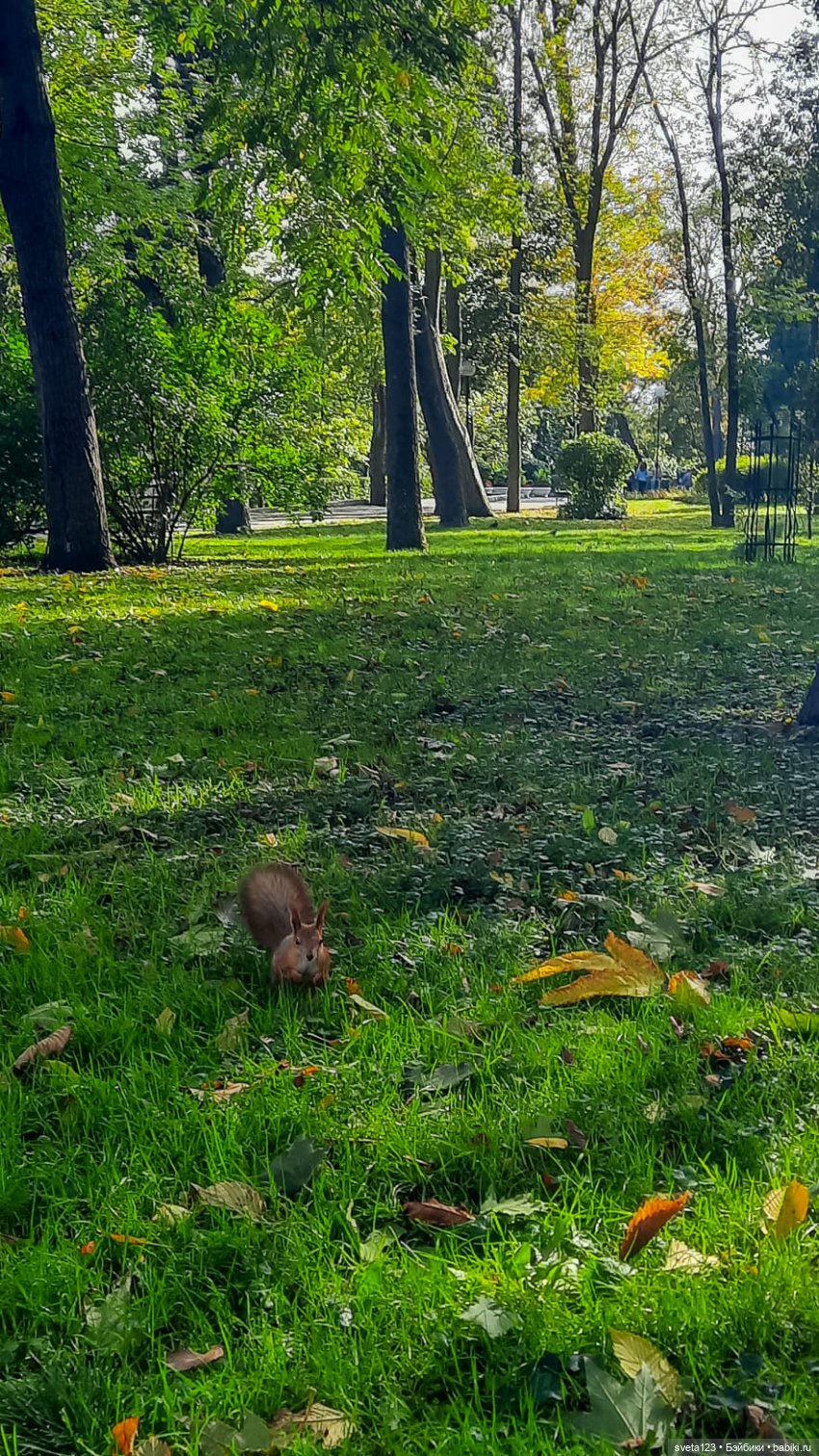 Марианна в парке с белочками 🐿️ 🐿️🐿️