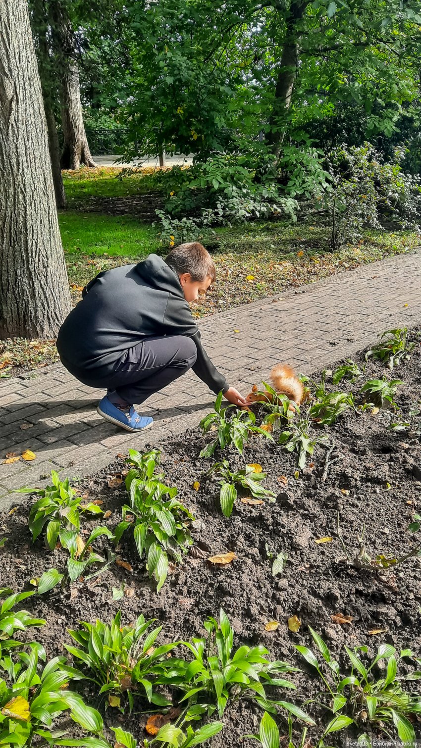 Марианна в парке с белочками 🐿️ 🐿️🐿️