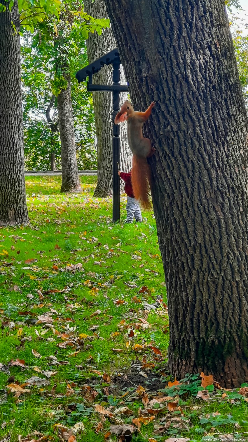 Марианна в парке с белочками 🐿️ 🐿️🐿️