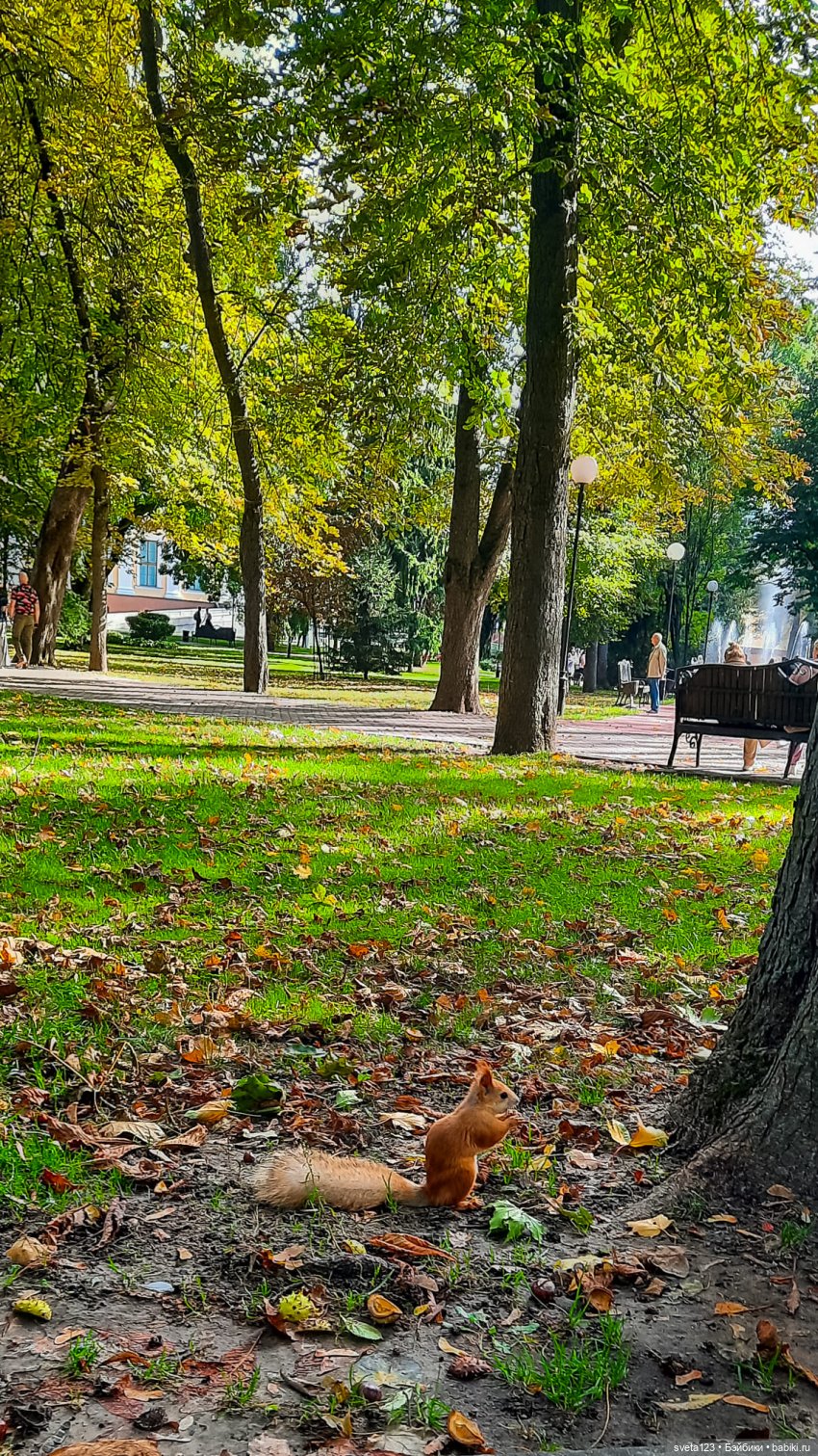 Марианна в парке с белочками 🐿️ 🐿️🐿️