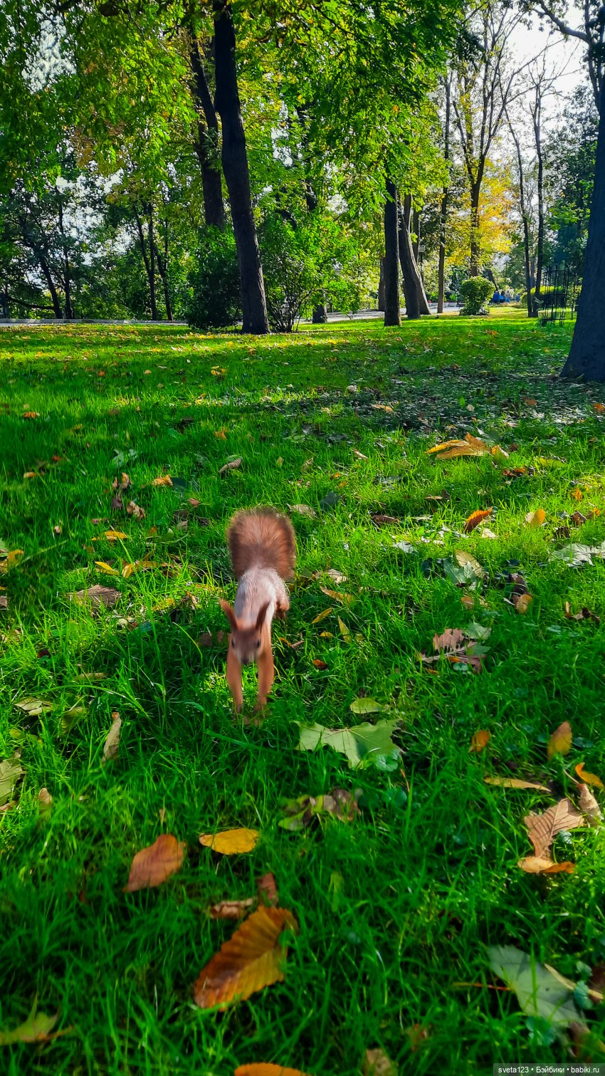 Марианна в парке с белочками 🐿️ 🐿️🐿️