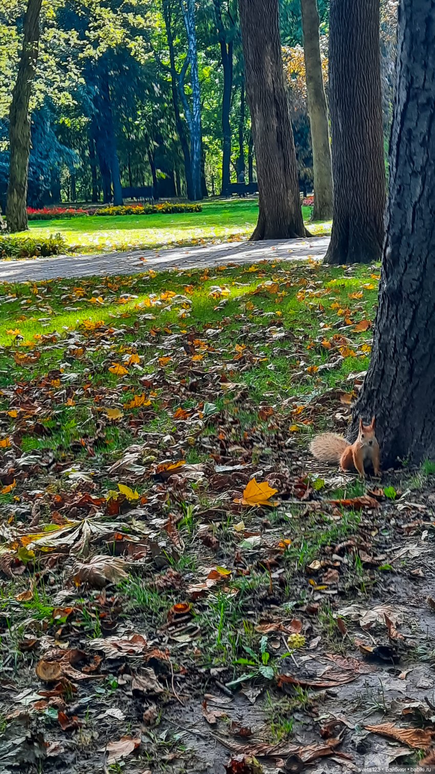 Марианна в парке с белочками 🐿️ 🐿️🐿️