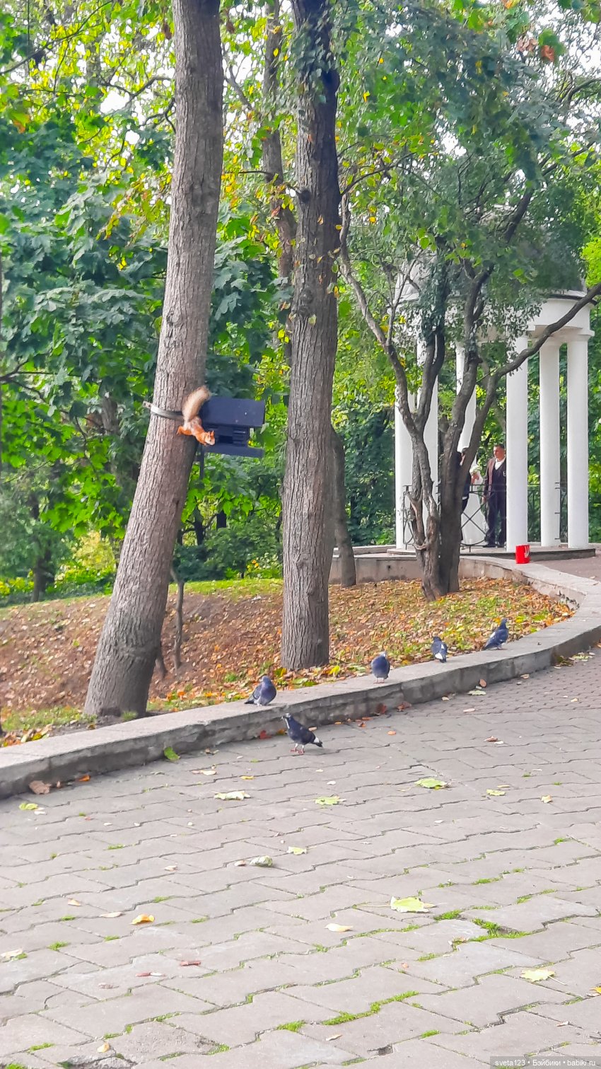 Марианна в парке с белочками 🐿️ 🐿️🐿️