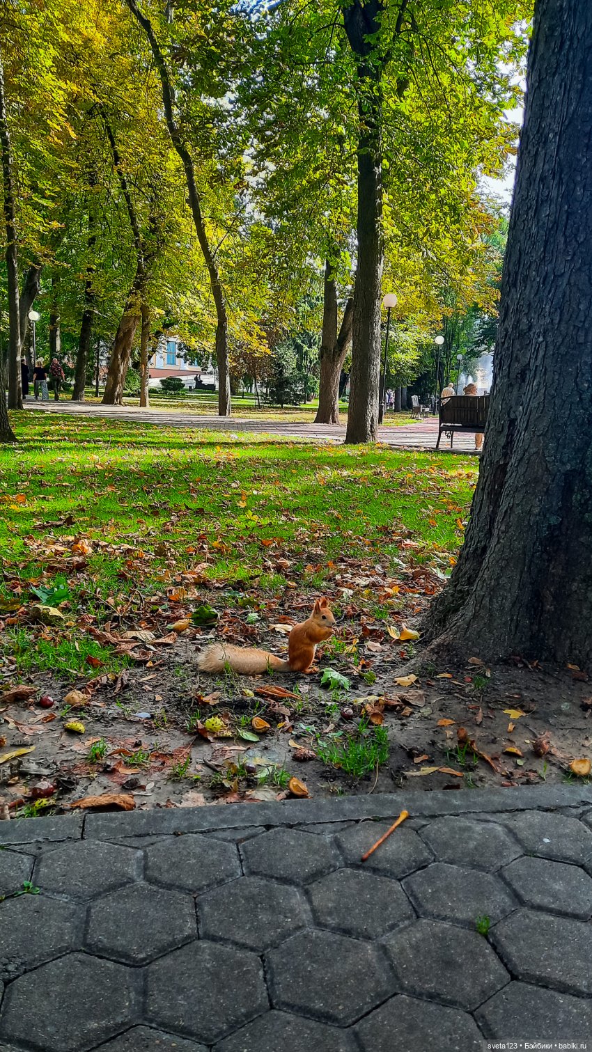Марианна в парке с белочками 🐿️ 🐿️🐿️