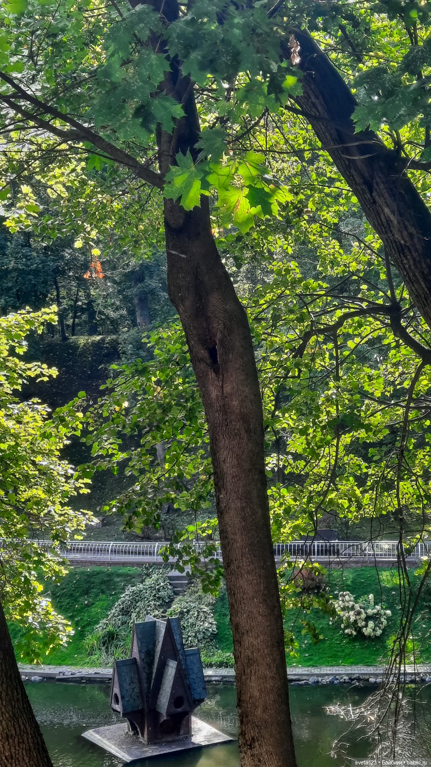 Марианна в парке с белочками 🐿️ 🐿️🐿️