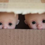 Первая встреча