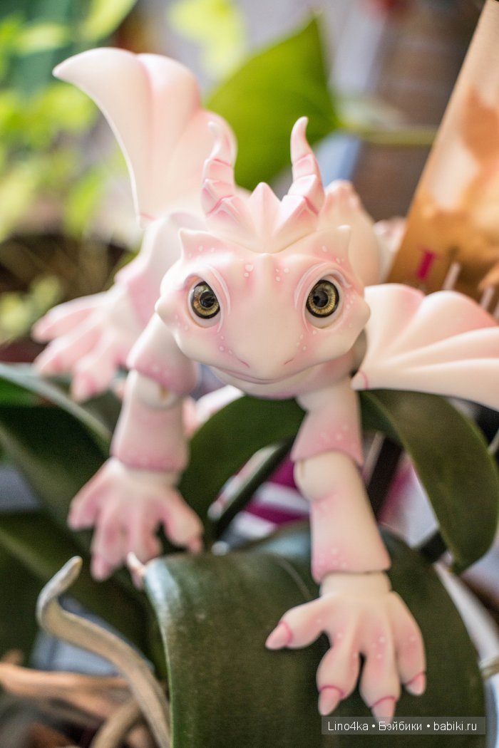 Будни с Зефиркой — Авторские работы в частных коллекциях: домашние фото кукол и игрушек (фото 10)