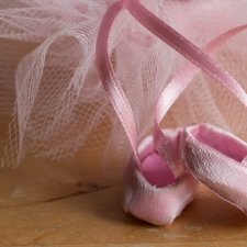 мои кошечки Lillycat