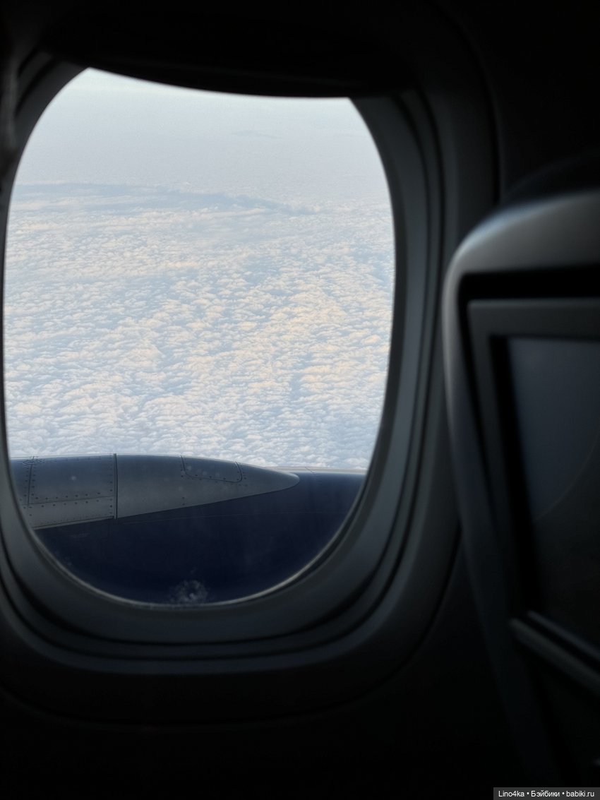 Осень 2025 — Авторские куклы BJD (БЖД) у нас дома: фото