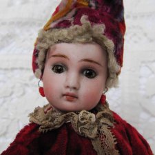 Малышка Sonnenberg очень редкий тип Steiner Face