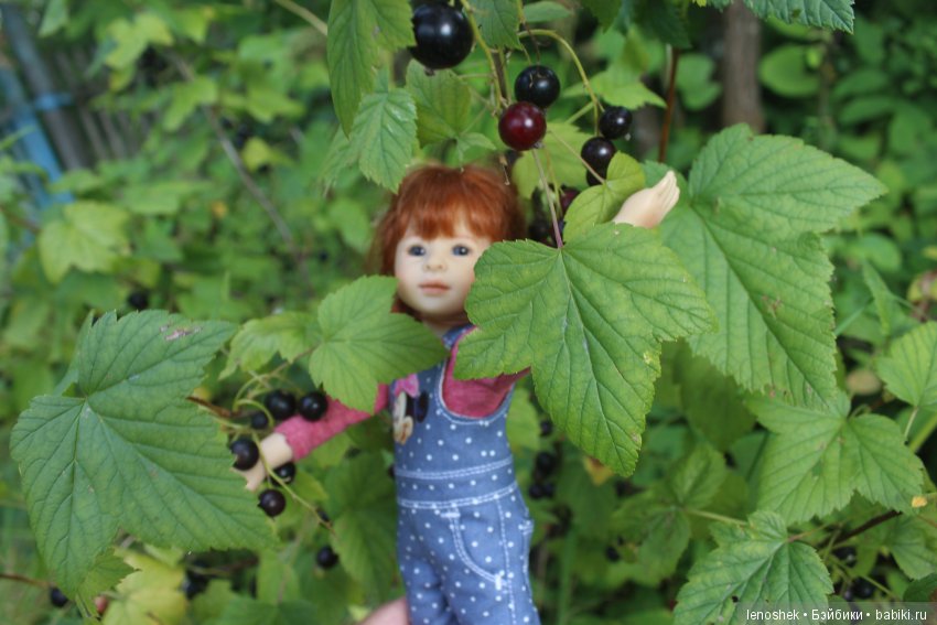 Дачные истории от Сонюшки