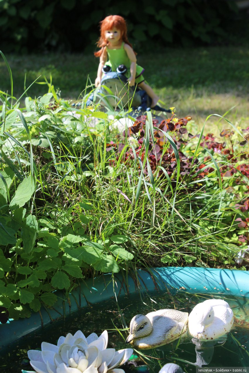 Дачные истории от Сонюшки