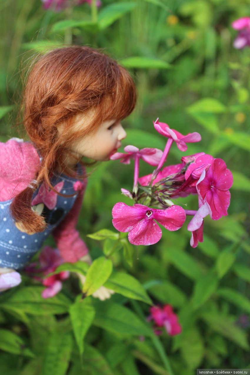 Дачные истории от Сонюшки (фото 3)