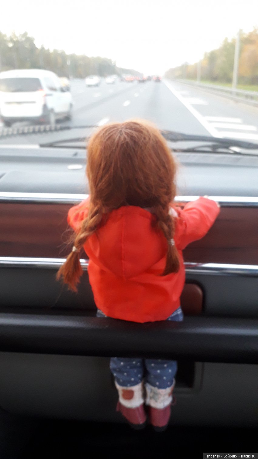 Золотая осень дарит тёплые деньки (фото 2)