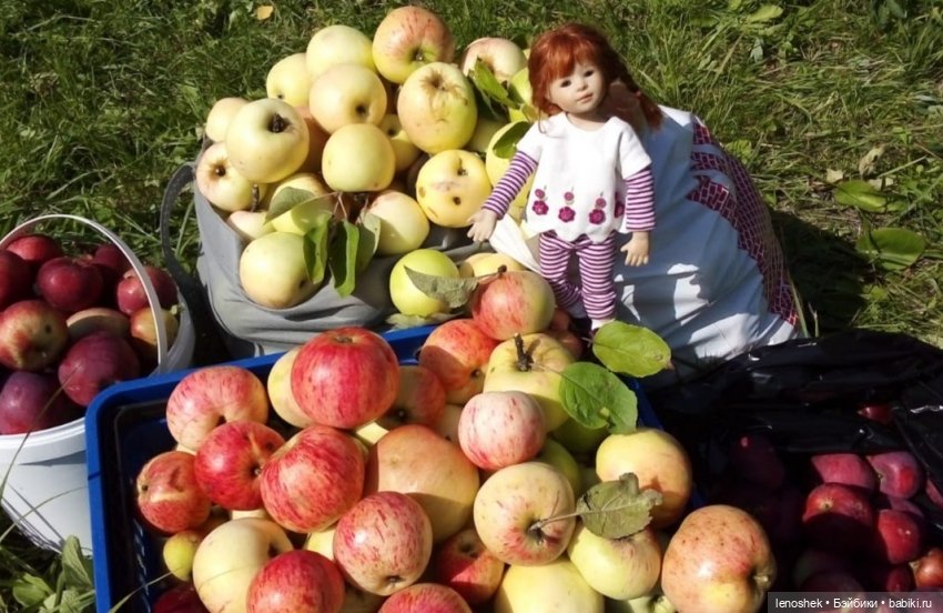Август надо цедить медленно (фото 2)