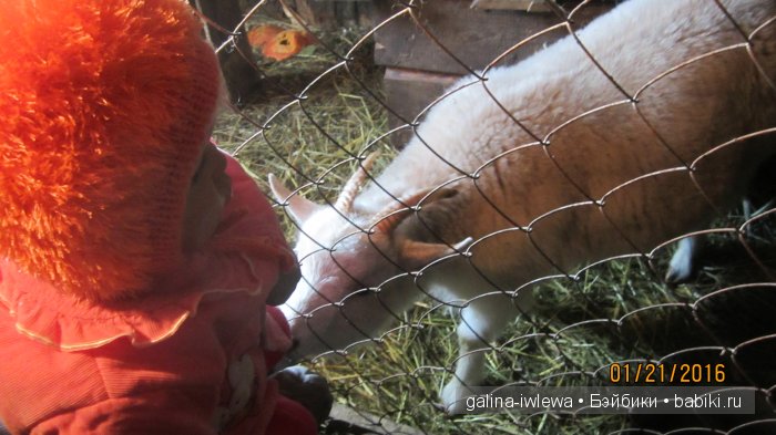 Мамина помошница — Куклы Реборн (Reborn): домашние фото