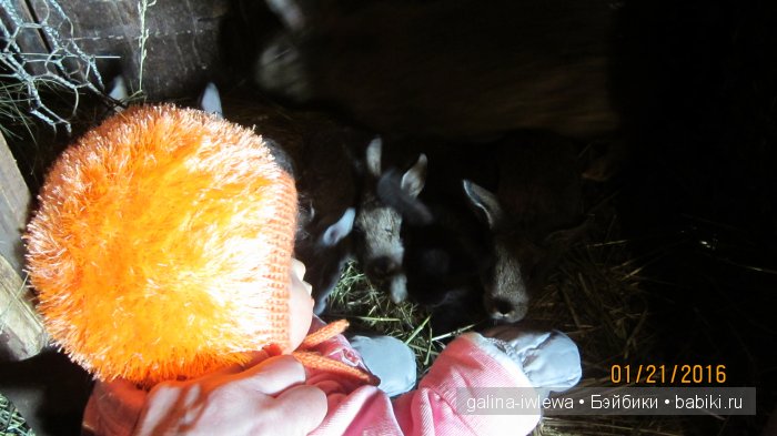 Мамина помошница — Куклы Реборн (Reborn): домашние фото