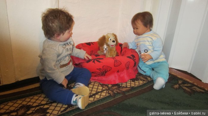 Подарок нашим питомцам | Бэйбики Подарок нашим питомцам — Болталка и разговоры обо всем: жизнь