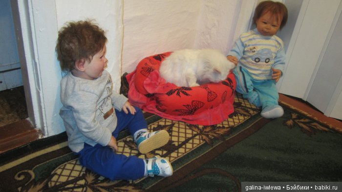 Подарок нашим питомцам | Бэйбики Подарок нашим питомцам — Болталка и разговоры обо всем: жизнь