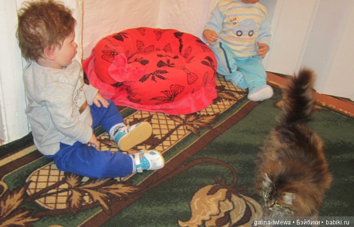 Подарок нашим питомцам | Бэйбики Подарок нашим питомцам — Болталка и разговоры обо всем: жизнь