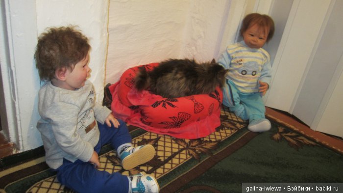 Подарок нашим питомцам | Бэйбики Подарок нашим питомцам — Болталка и разговоры обо всем: жизнь