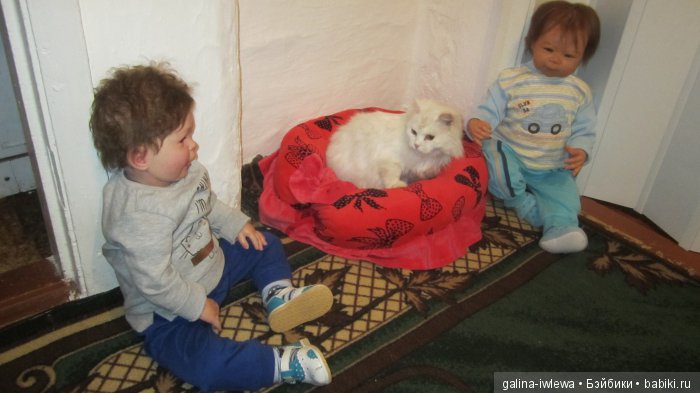 Подарок нашим питомцам | Бэйбики Подарок нашим питомцам — Болталка и разговоры обо всем: жизнь