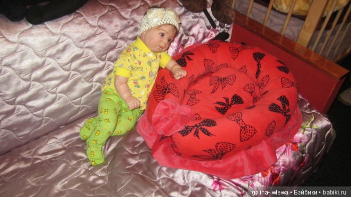 Подарок нашим питомцам | Бэйбики Подарок нашим питомцам — Болталка и разговоры обо всем: жизнь (фото 2)