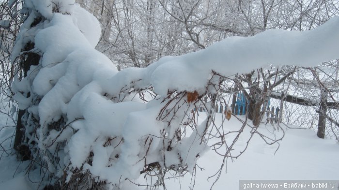 Зимние узоры | Бэйбики Зимние узоры — Болталка и разговоры обо всем: жизнь
