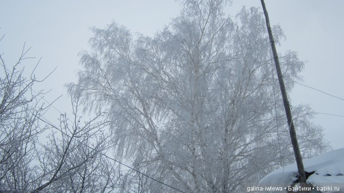 Зимние узоры | Бэйбики Зимние узоры — Болталка и разговоры обо всем: жизнь