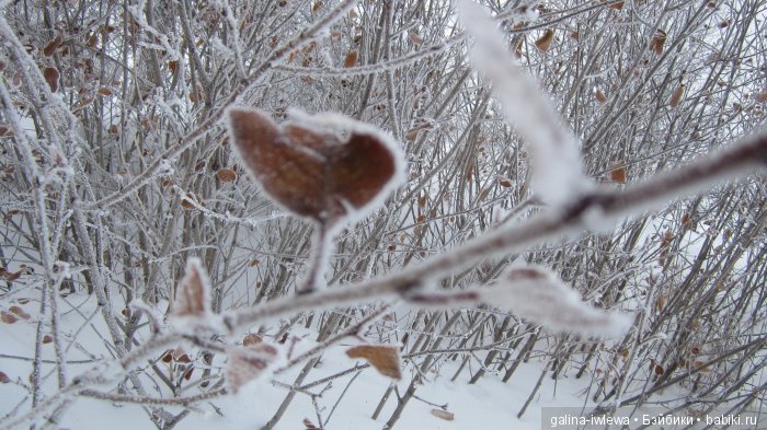 Зимние узоры | Бэйбики Зимние узоры — Болталка и разговоры обо всем: жизнь