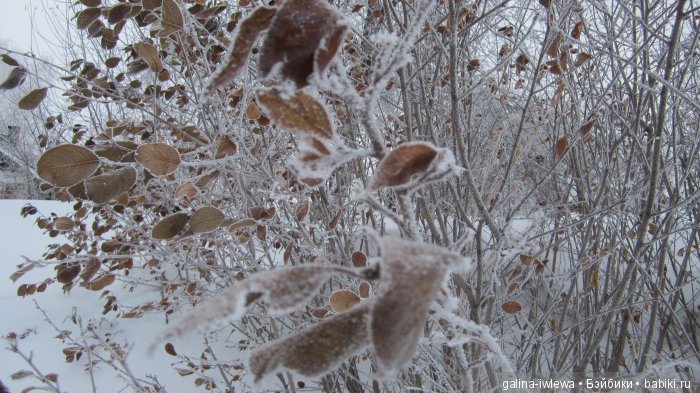 Зимние узоры | Бэйбики Зимние узоры — Болталка и разговоры обо всем: жизнь