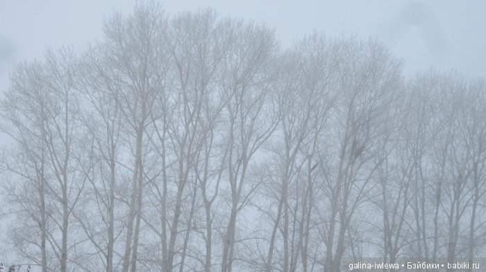 Зимние узоры | Бэйбики Зимние узоры — Болталка и разговоры обо всем: жизнь