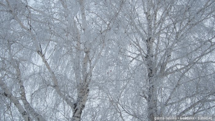 Зимние узоры | Бэйбики Зимние узоры — Болталка и разговоры обо всем: жизнь (фото 4)