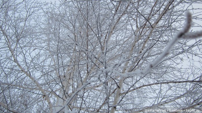 Зимние узоры | Бэйбики Зимние узоры — Болталка и разговоры обо всем: жизнь (фото 7)