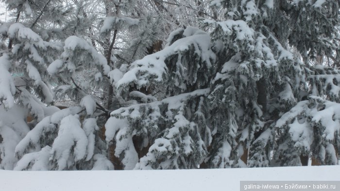 Зимние узоры | Бэйбики Зимние узоры — Болталка и разговоры обо всем: жизнь