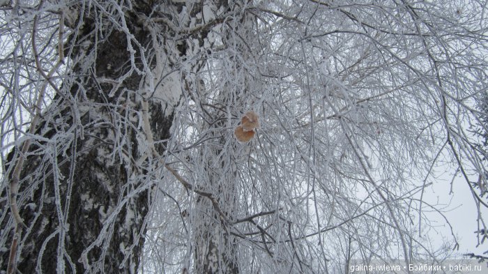 Зимние узоры | Бэйбики Зимние узоры — Болталка и разговоры обо всем: жизнь (фото 8)