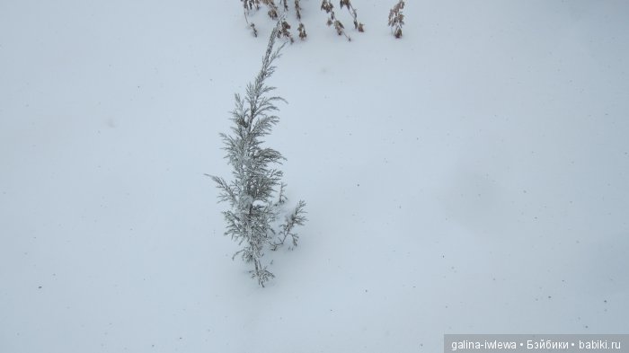 Зимние узоры | Бэйбики Зимние узоры — Болталка и разговоры обо всем: жизнь
